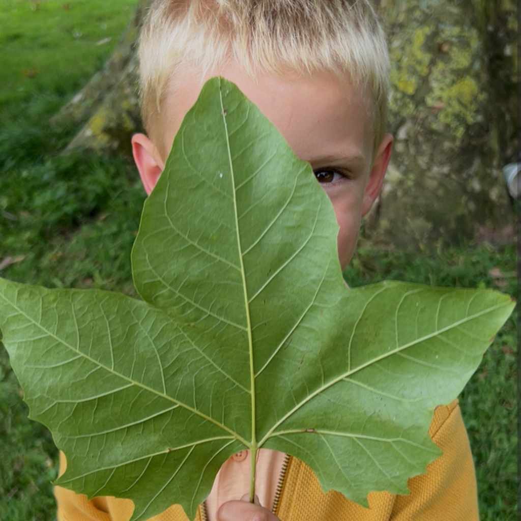 ortrait d’un enfant en plein air dans la nature, sourire lumineux